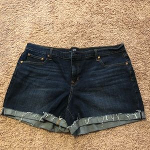 Brand New Gap Denim Shorts